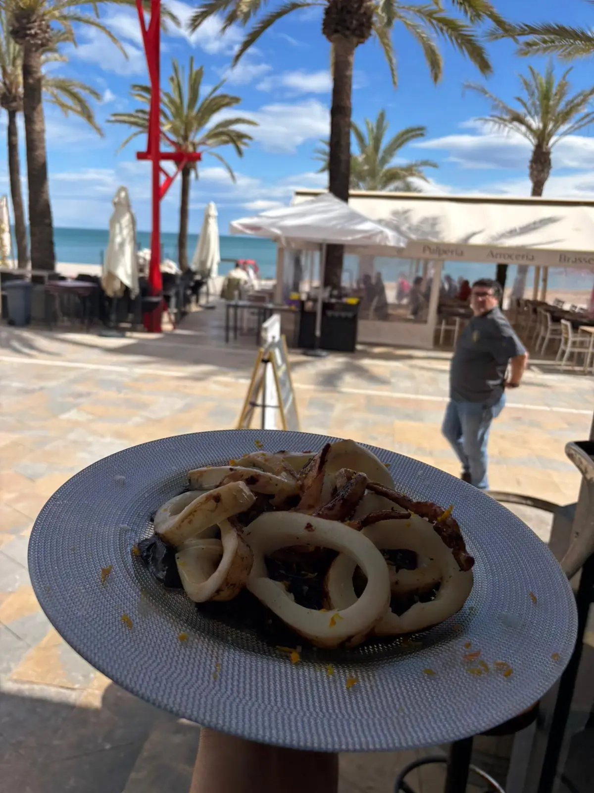 Calamares a la plancha servidos en Pulpería Arrocería el Poal, con vistas al mar en Vinaròs. Disfruta de tapas mediterráneas frente a la playa.