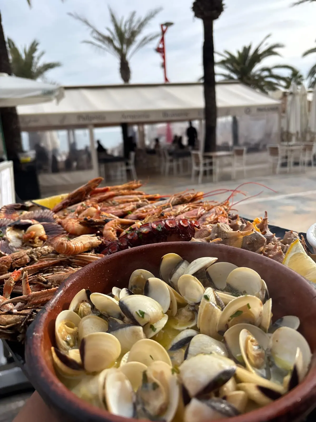 Disfruta del Arroz con Galeras, Zamburiñas y Cigalas en Pulpería Arrocería el Poal, Vinaròs, con vistas al mar Mediterráneo.